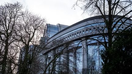 Le bâtiment du Parlement européen, à Bruxelles (Belgique), le 29 janvier 2025. (MARTIN BERTRAND / HANS LUCAS / AFP)