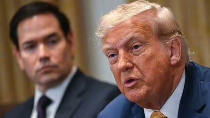 Le président américain Donald Trump s'exprime lors d'une réunion du cabinet dans la salle du Cabinet de la Maison Blanche à Washington, DC, le 8 juillet 2025. (ANDREW CABALLERO-REYNOLDS / AFP)
