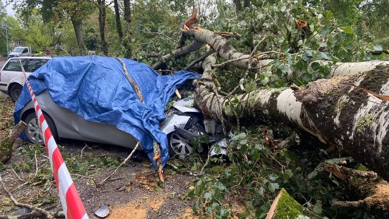 Storm in Saint-Honoré-les-Bains (Nièvre) on August 26, 2025: a car destroyed by a falling tree