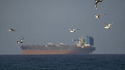 A ship in the Strait of Hormuz, April 8, 2026 (illustration photo). (SHADY ALASSAR / ANADOLU / AFP)